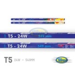AQUA NOVA 24W Świetlówka T5, światło dzienne białe 10000K - 1 AQUA NOVA 24W Świetlówka T5, światło dzienne białe 10000K - 1