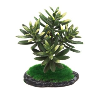 AQUA NOVA Roślina sztuczna 15cm - 1
