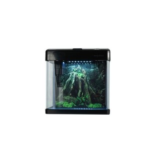 AQUA NOVA Akwarium 19L LED, gięte szkło, filtr + oświetlenie, czarne - 1 AQUA NOVA Akwarium 19L LED, gięte szkło, filtr + oświetlenie, czarne - 1
