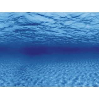 AQUA NOVA 100x50cm tło akwariowe cięte na wymiar korzenie/woda - 1 AQUA NOVA 100x50cm tło akwariowe cięte na wymiar korzenie/woda - 1