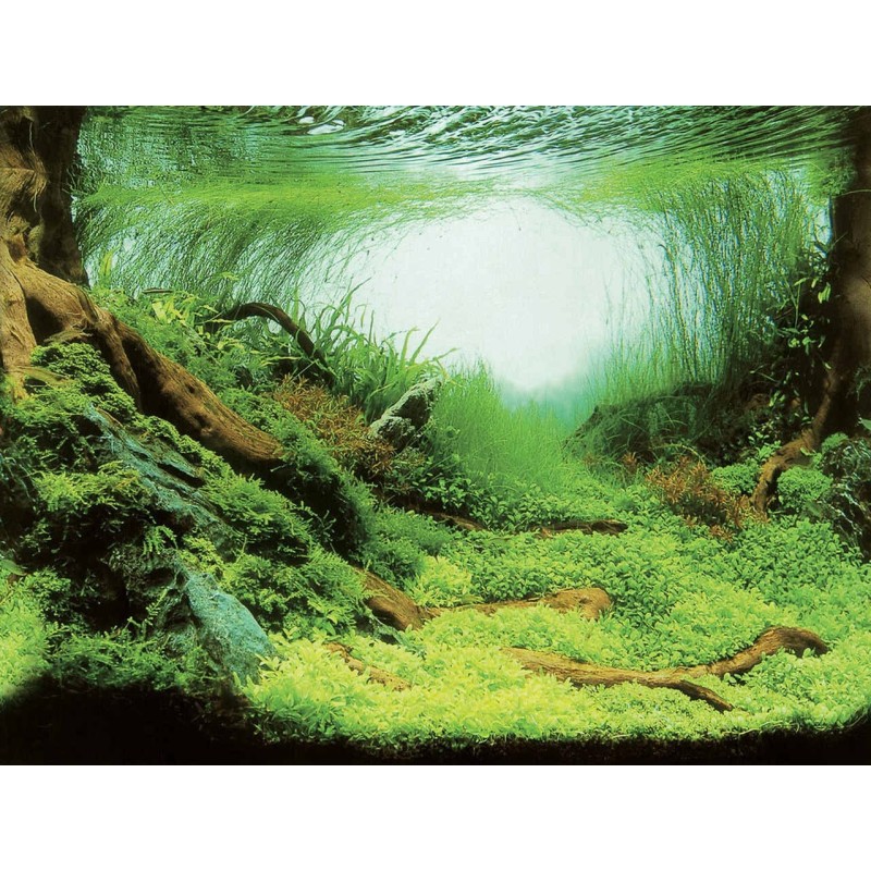 AQUA NOVA 150x60cm tło akwariowe cięte na wymiar rośliny/ocean - 3