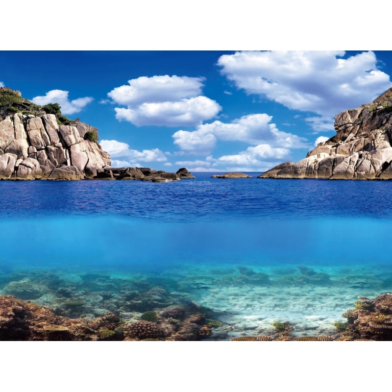 AQUA NOVA 150x60cm tło akwariowe cięte na wymiar rośliny/ocean - 2