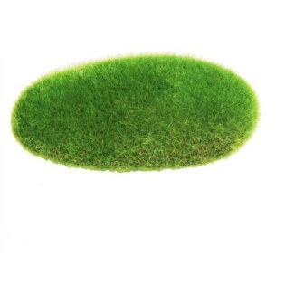 AQUA NOVA Dekoracja 81 9-4, 10x5cm - 1