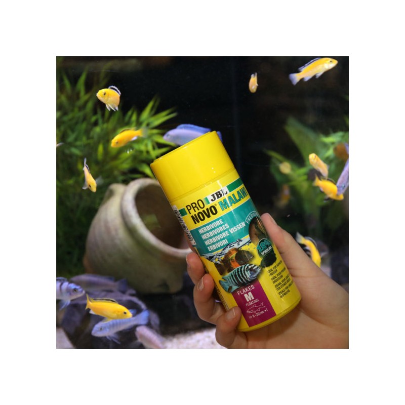 JBL PRONOVO MALAWI FLAKES M 1000MLPokarm podstawowy w płatkach dla pielęgnic zjadających porosty - 2