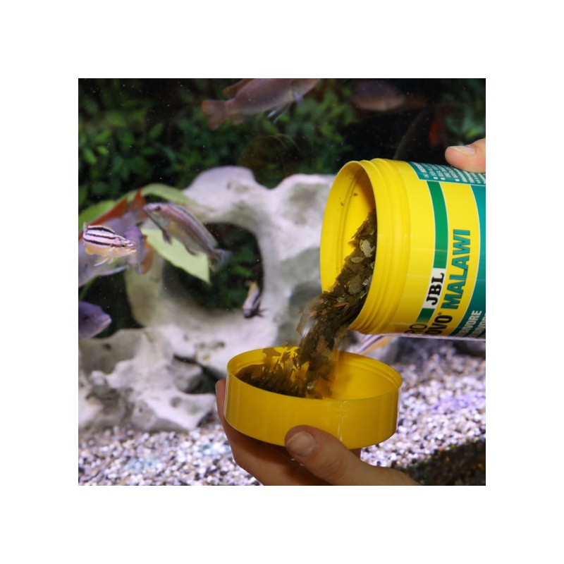 JBL PRONOVO MALAWI FLAKES M 1000MLPokarm podstawowy w płatkach dla pielęgnic zjadających porosty - 1
