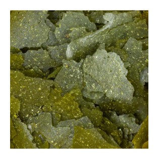 JBL PRONOVO SPIRULINA FLAKES M 1000ML Pokarm w płatkach ze spiruliną dla wszystkich ryb akwariowych 8-20 cm - 1 JBL PRONOVO SPIRULINA FLAKES M 1000ML Pokarm w płatkach ze spiruliną dla wszystkich ryb akwariowych 8-20 cm - 1