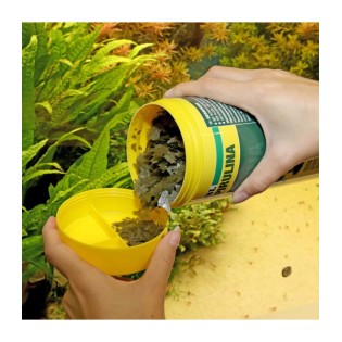 JBL PRONOVO SPIRULINA FLAKES M 250ML Pokarm w płatkach ze spiruliną dla wszystkich ryb akwariowych 8-20 cm - 1 JBL PRONOVO SPIRULINA FLAKES M 250ML Pokarm w płatkach ze spiruliną dla wszystkich ryb akwariowych 8-20 cm - 1