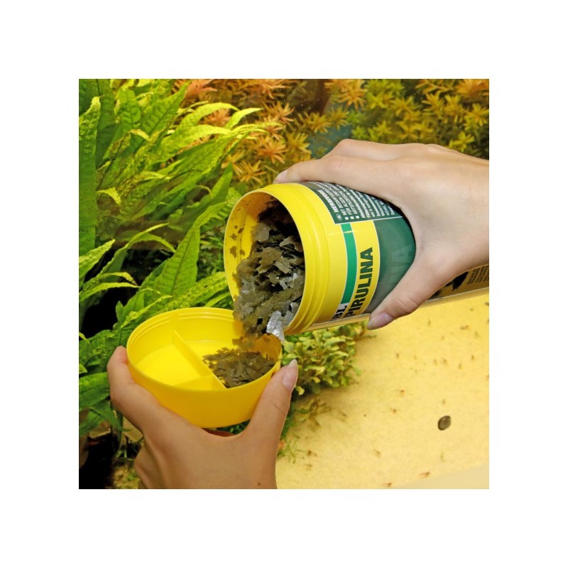 JBL PRONOVO SPIRULINA FLAKES M 250ML Pokarm w płatkach ze spiruliną dla wszystkich ryb akwariowych 8-20 cm - 1