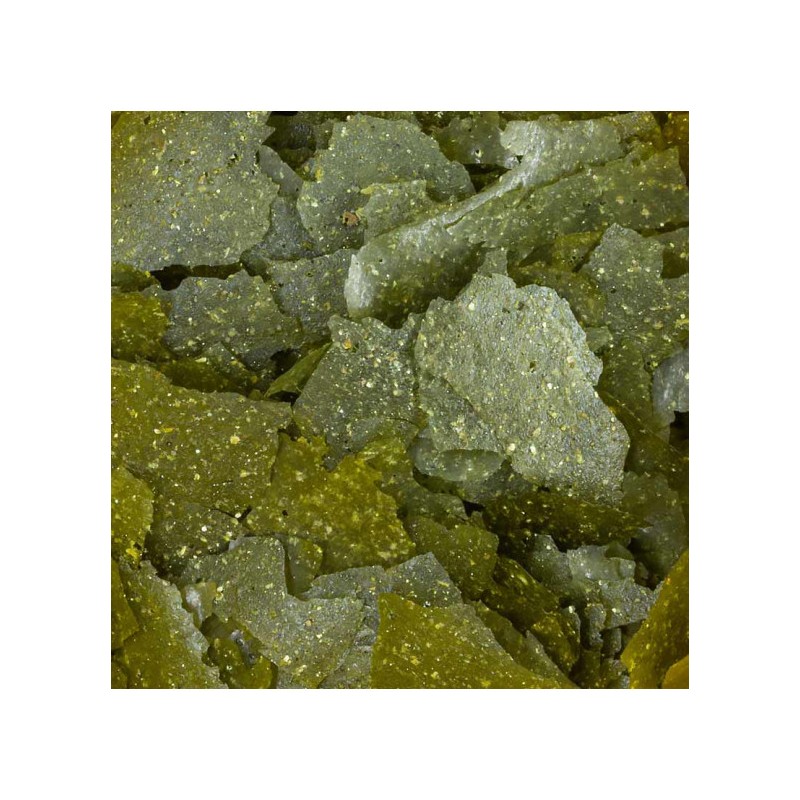 JBL PRONOVO SPIRULINA FLAKES M 250ML Pokarm w płatkach ze spiruliną dla wszystkich ryb akwariowych 8-20 cm - 3