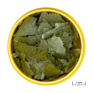 JBL PRONOVO SPIRULINA FLAKES M 5,5L - 1 JBL PRONOVO SPIRULINA FLAKES M 5,5L - 1
