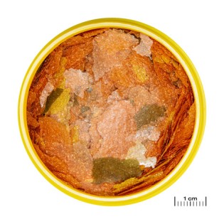 JBL PRONOVO TANGANYIKA FLAKES M 1000ML Pokarm podstawowy w płatkach dla drapieżnych pielęgnic 8-20 cm - 1 JBL PRONOVO TANGANYIKA FLAKES M 1000ML Pokarm podstawowy w płatkach dla drapieżnych pielęgnic 8-20 cm - 1