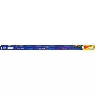 AQUA NOVA Świetlówka T8 30W 893mm, 7500K, biała dzienna - 1