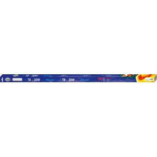 AQUA NOVA Świetlówka T8 30W 893mm, 13000K, czerwona - 1