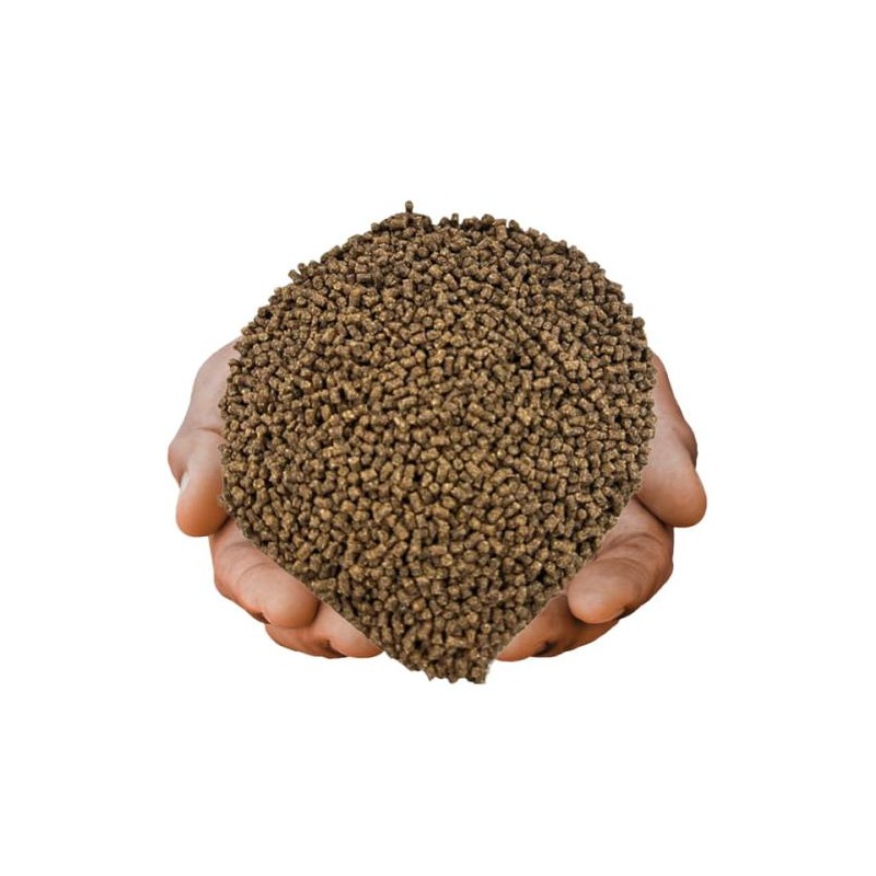 pellet dla ryb stawowych Aller Aqua Classic 3 mm 1 kg