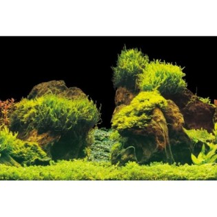 AQUA NOVA Aquarium Background S (Rock - Plants) 60x30cm (ROCK/PLANTS S) - Dwustronne tło akwariowe cięte na wymiar - 1 AQUA NOVA Aquarium Background S (Rock - Plants) 60x30cm (ROCK/PLANTS S) - Dwustronne tło akwariowe cięte na wymiar - 1
