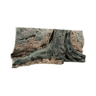 Tło Amazonas L: 160 x H: 60 cm - 5