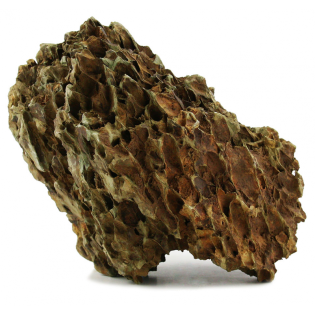 ROTALA Premium Dragon Stone 1kg (RDS001) - 1 ROTALA Premium Dragon Stone 1kg (RDS001) - 1