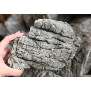 ROTALA Premium Elephant Skin Stone 20-50cm 1kg (RESS01) - 1 ROTALA Premium Elephant Skin Stone 20-50cm 1kg (RESS01) - 1