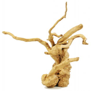 ROTALA Premium Red Moor Wood 1kg (RRMW01) - 1 ROTALA Premium Red Moor Wood 1kg (RRMW01) - 1