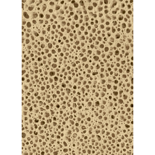 Xport BIO Brick (XPBRICBIO) - 1