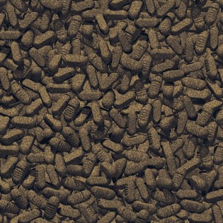 JBL PROPOND SILKWORMS M (4133100) 1KG Jedwabniki Goody dla Koi - 1