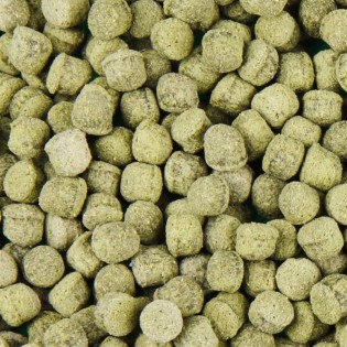 JBL PROPOND STERLET M 3 KG (4128200) Podstawowy pokarm dla średnich jesiotrów - 1 JBL PROPOND STERLET M 3 KG (4128200) Podstawowy pokarm dla średnich jesiotrów - 1