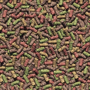 JBL PROPOND ALL SEASONS M 2,2 KG ( 4125600) Pokarm całoroczny dla średnich Koi & ryb stawowych - 1