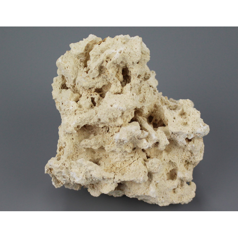 Skała koralowa / Marco Rocks nieregularna 1kg - 1