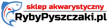 Ryby pyszczki | KONEKT